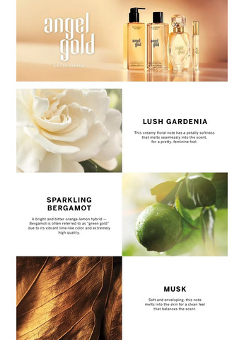 Парфюмированая вода Angel Gold, 100мл Victoria's Secret (345570445)