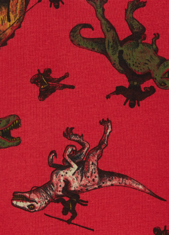 Сіра всесезон піжама для хлопчика carters (988610) 2шт Carter's