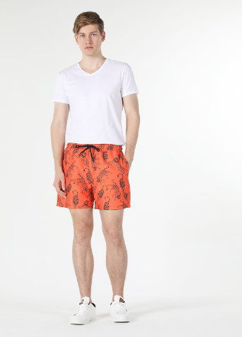 Шорти Colin's (254580763)