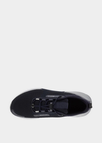 Синие демисезонные кросовки Ecco