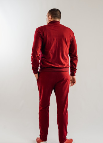 Бордовый демисезонный мужской спортивный костюм брючный V.O.G.