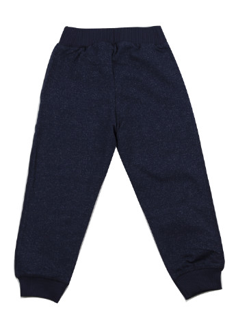 Темно-синие спортивные демисезонные брюки джоггеры Breeze