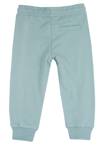 Бирюзовые спортивные демисезонные джоггеры брюки Chicco