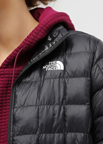 Черная демисезонная куртка The North Face