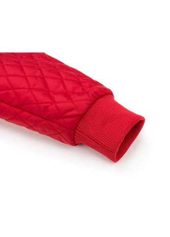 Червона демісезонна куртка стьобана з капюшоном (3439-116b-red) Verscon