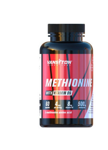 Methionine 500 mg 60 Caps Vansiton (256379970)