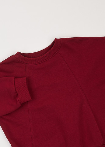 Бордовий світшот Фламинго однотонний без декору (303403378)