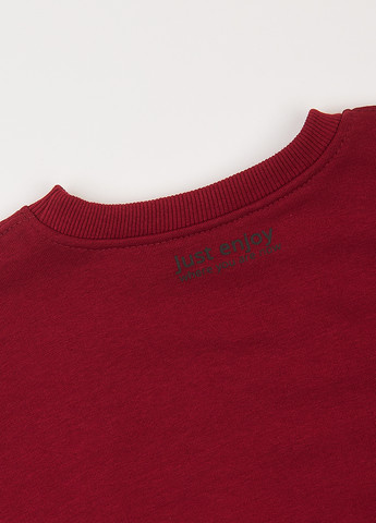 Бордовий світшот Фламинго однотонний без декору (303403378)