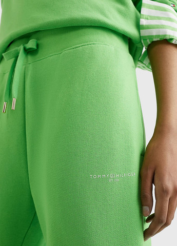 Зеленые спортивные демисезонные джоггеры брюки Tommy Hilfiger