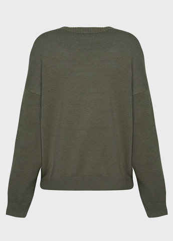 Оливковый зимний джемпер джемпер Replay