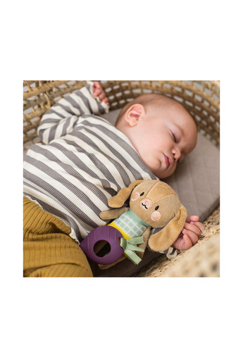 Развивающая подвеска-погремушка коллекции Кролик Дженни, 12х32х5,5 см Taf Toys (257257523)