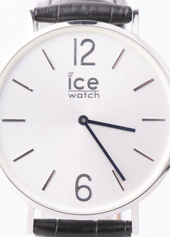 Часы Ice Watch (258637287)