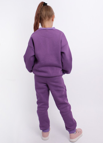 Костюм (світшот, штани) Dana (313122894)