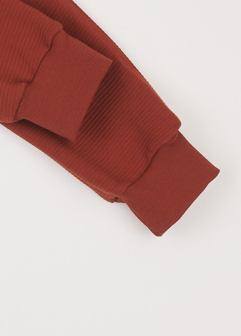 Терракотовый демисезонный костюм (худи, брюки) брючный ArDoMi