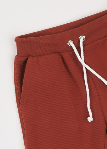 Терракотовый демисезонный костюм (худи, брюки) брючный ArDoMi