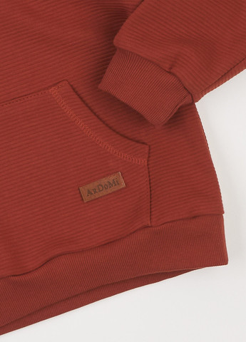 Терракотовый демисезонный костюм (худи, брюки) брючный ArDoMi