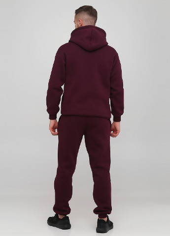 Сливовые спортивные зимние джоггеры брюки Only Man