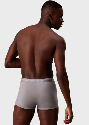 Трусы (3 шт.) Calvin Klein (347073314)