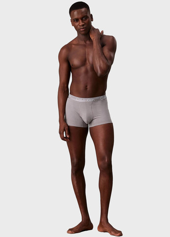 Трусы (3 шт.) Calvin Klein (347073314)