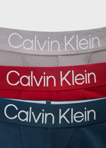 Трусы (3 шт.) Calvin Klein (347073314)