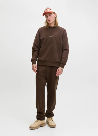 Штани Jack & Jones (352530812)