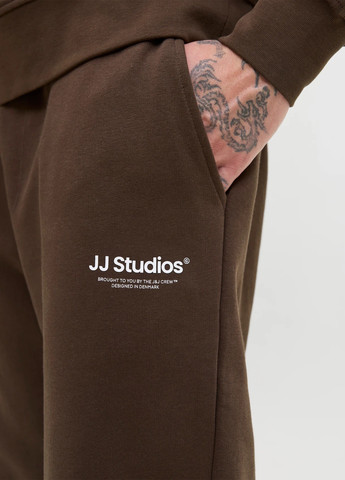 Штани Jack & Jones (352530812)