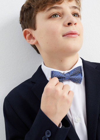 Бабочка C&A (322896980)