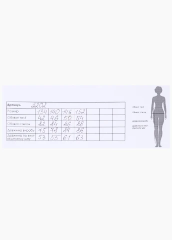 Черные спортивные демисезонные брюки Atescan
