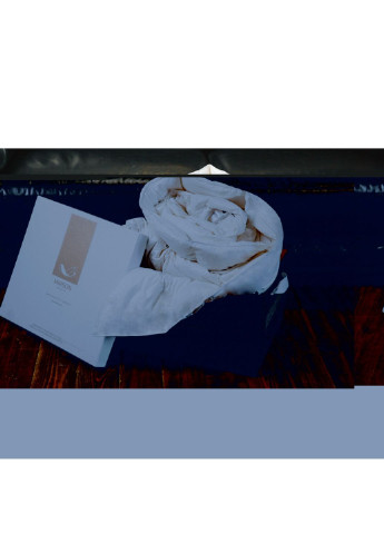 Одеяло MirSon пуховое Luxury Exclusive 078 лето 220x240 см (2200000018571) No Brand (254011424)