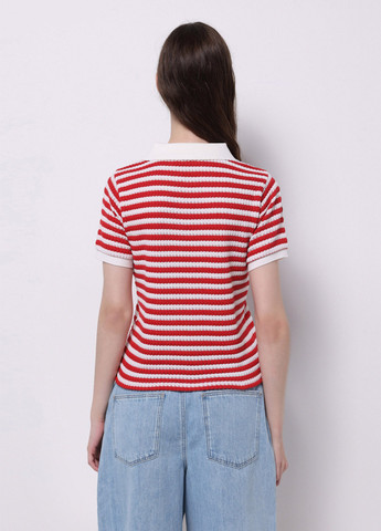 Поло Colin's (335971618)