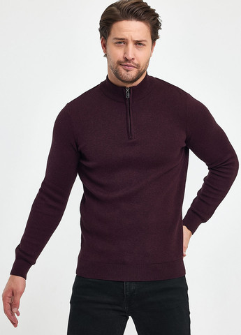 Бордовый демисезонный свитер Trend Collection