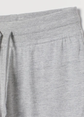 Серые спортивные демисезонные брюки джоггеры, зауженные H&M