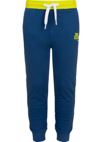 Синие спортивные демисезонные брюки зауженные Endo