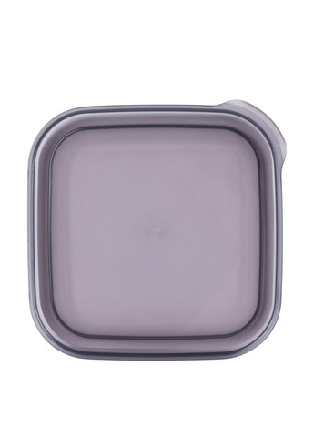 Харчовий контейнер, 0,5л Violet House (259016716)