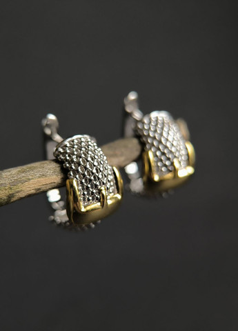 Сережки Silver Flame (336574450)