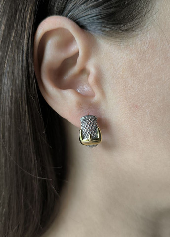 Сережки Silver Flame (336574450)