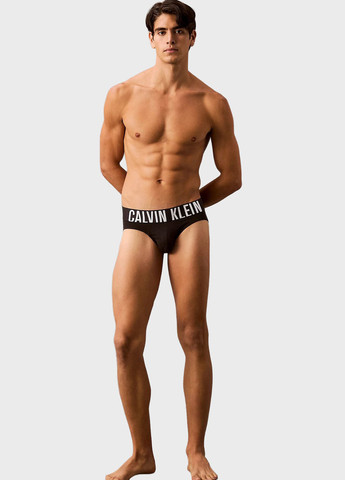 Трусы (3 шт.) Calvin Klein (366424731)