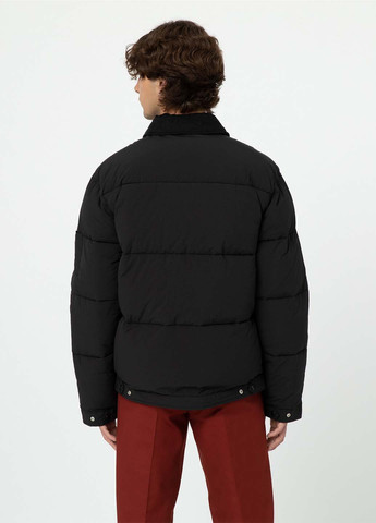 Чорна зимня куртка Dickies