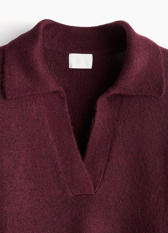 Бордовий зимовий светр H&M