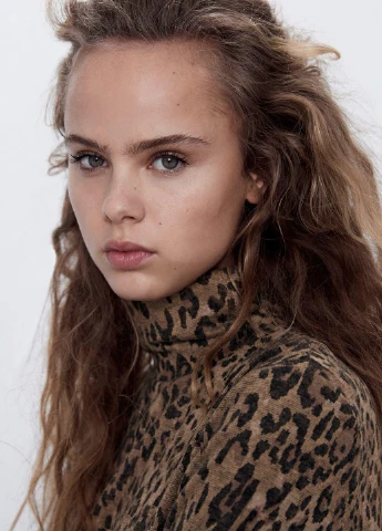 Коричнева кежуал сукня сукня светр, футляр Zara леопардовий