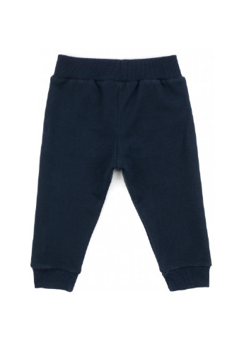 Темно-синий демисезонный набор детской одежды с тигриком (13251-104b-gray) Breeze