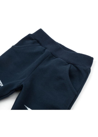 Темно-синій демісезонний набір дитячого одягу з тигриком (13251-104b-gray) Breeze