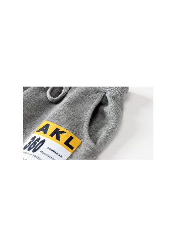 Серые спортивные демисезонные брюки AKL