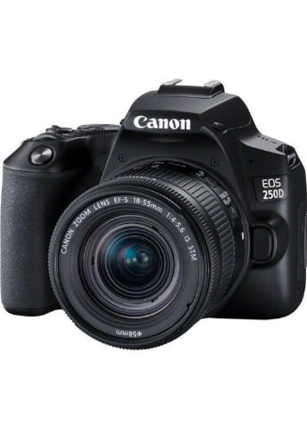 Цифровой фотоаппарат EOS 250D kit 18-55 IS STM Black Canon (251243475)