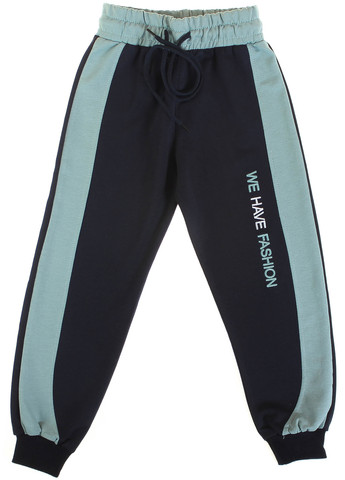 Темно-синие спортивные демисезонные брюки джоггеры Joi