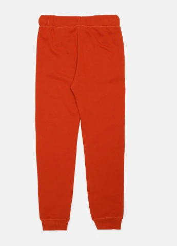 Оранжевые спортивные демисезонные брюки H&M