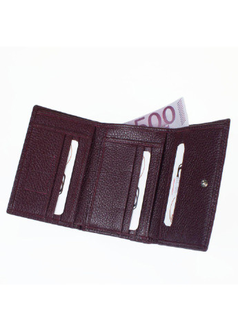 Жіночий шкіряний гаманець 12,6х9х2,5 см Desisan (195547602)