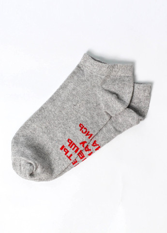 Сірі жіночі шкарпетки premium келих вина LOMM написи (211081887)