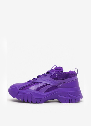 Фиолетовые всесезонные кроссовки Reebok GX9737