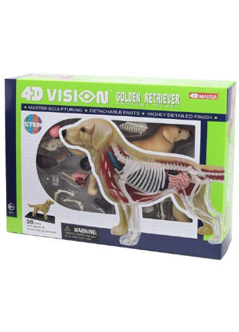 Пазл Об'ємна анатомічна модель Собака золотистий ретрівер (FM-622007) 4D Master (249984287)